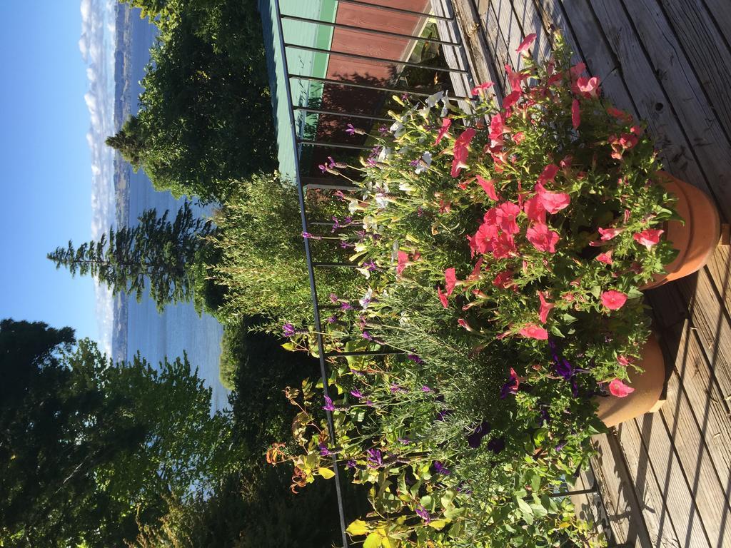 Lakeview Holiday Home Ροτόρυα Εξωτερικό φωτογραφία